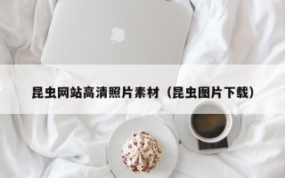 醴陵昆虫网站高清照片素材（昆虫图片下载）